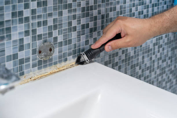 Best Preventive Mold Services in Mango, FL